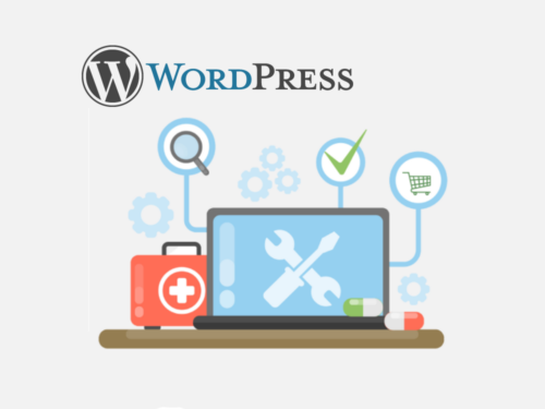 WordPress Website Maintenance Plan